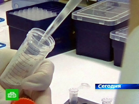 Y-хромосома выдержала все испытания
