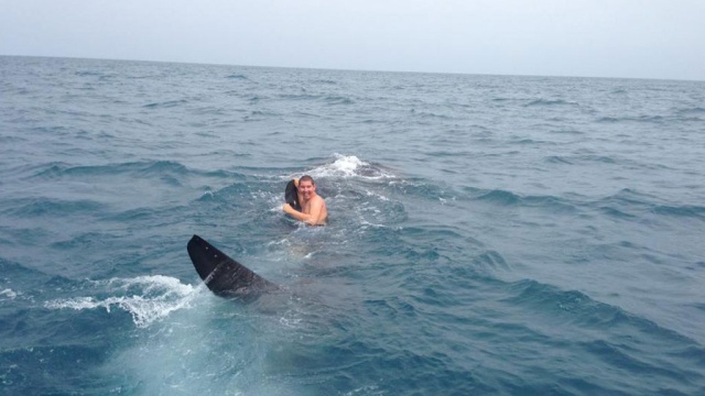 Американский подросток оседлал гигантскую китовую акулу посреди океана