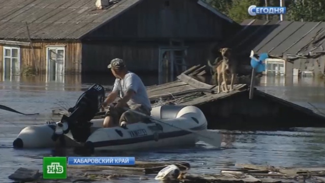 Большая вода гонит людей из пригородов Комсомольска-на-Амуре