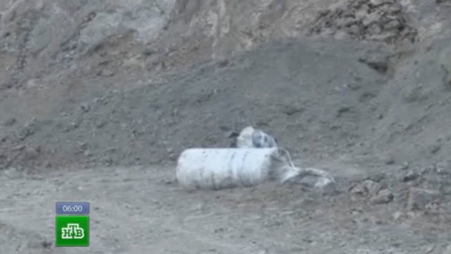 Найденные в дагестанском селе бомбы-самоделки удивили саперов