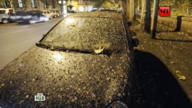 Пернатые мигранты устроили в Риме дождь из помета: видео