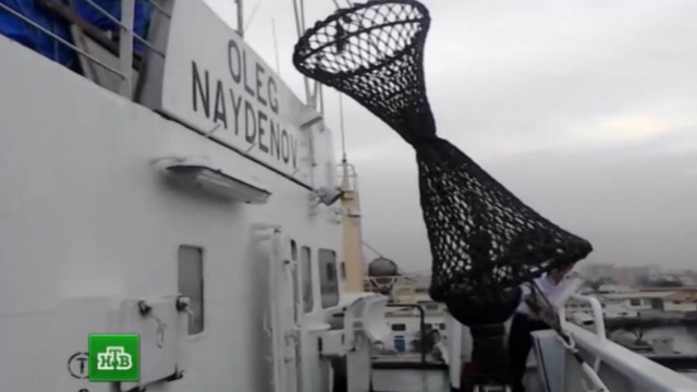 Сенегальцы вернули документы морякам с 