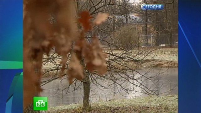 Баболовский парк облагородят на 40 млн рублей