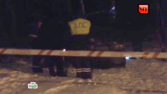 В московском лесопарке нашли разбитую машину с мертвым водителем