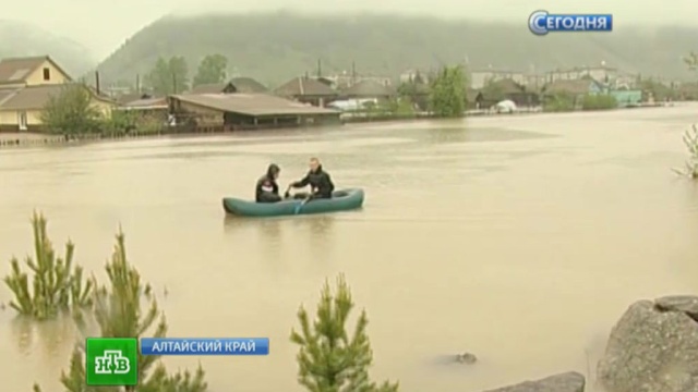 Алтайских чиновников накажут за неготовность к страшному наводнению