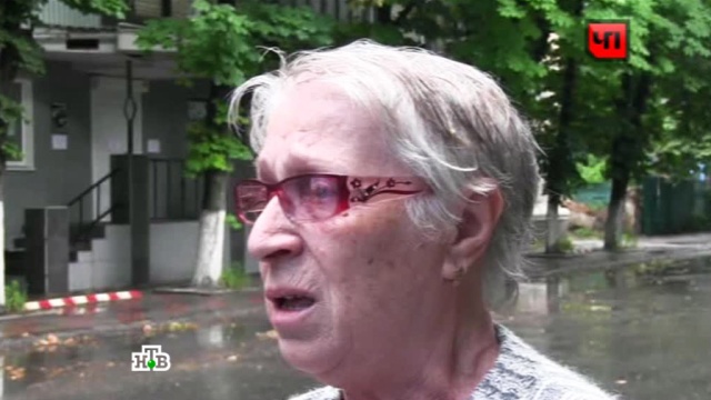Мать пропавшего народного мэра Славянска обратилась к властям ДНР