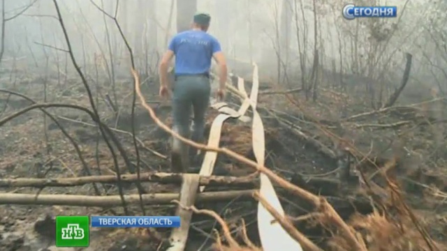 Лесные пожары в Тверской области обещают потушить за неделю