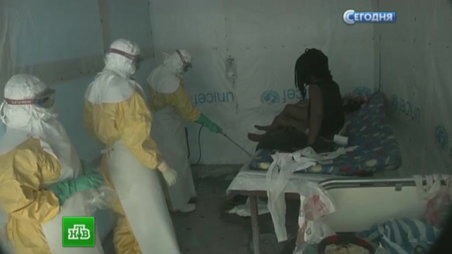 Борьба с лихорадкой Эбола обойдется России в $60 млн