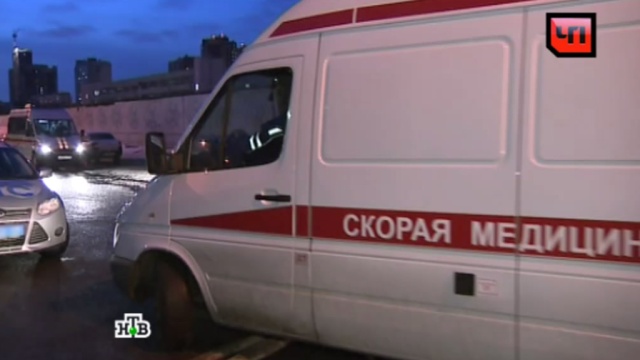 Полиция Волгограда расследует убийство школьницы, ее отца и деда
