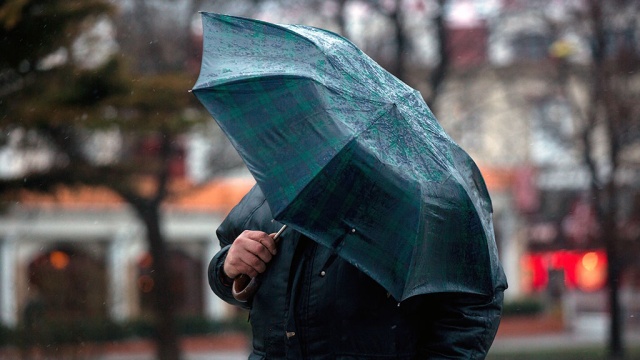 Ветер оставил без света более 11 тысяч жителей Ростовской области
