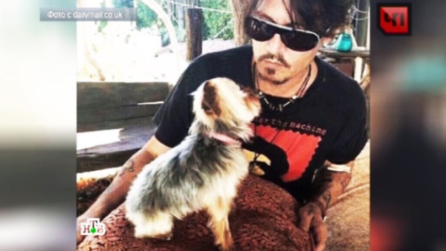 ������ ��������� ����� ������� ����� ������ ����� 