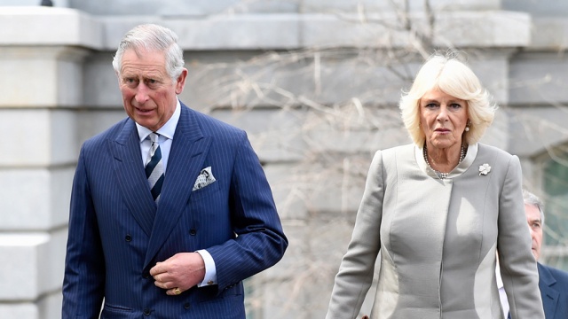 ���������� ����������� �������� ������ �������