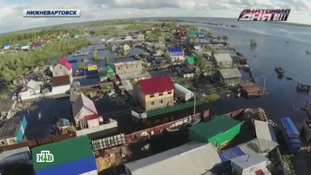 ����������� ������ ���� ������� ��������� � ����������