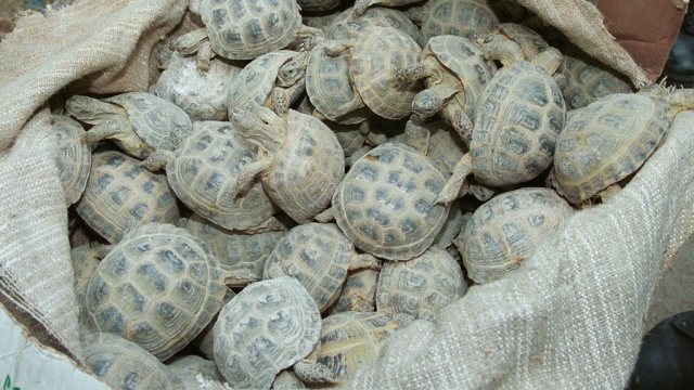 ������ ������������ �������� ����������� �� ��������� � ������