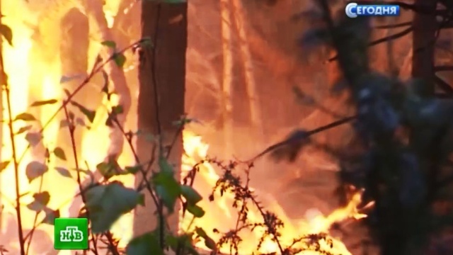 Рослесхоз сообщил о резком увеличении числа пожаров в Бурятии