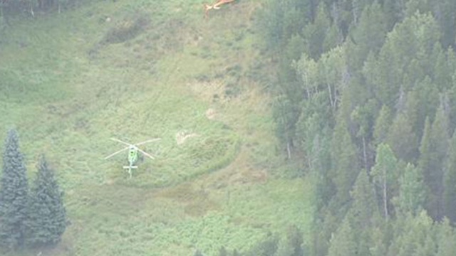  ���� ���������� �������� black hawk �������� 