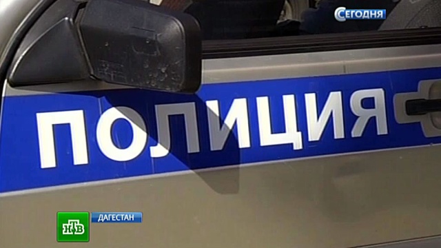 Фото: ntv.ru
