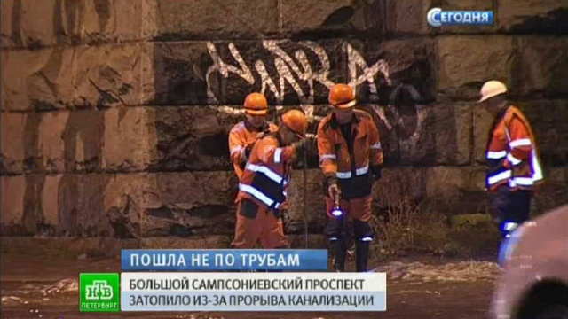 Фото: ntv.ru