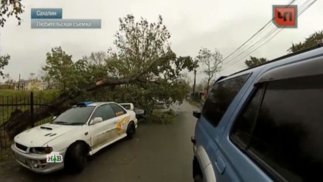  �������� ������� ������� ����� ����� 