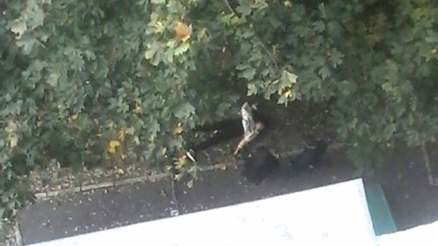  ����������� ��������� �������� �������� ������� ��������� ���� 