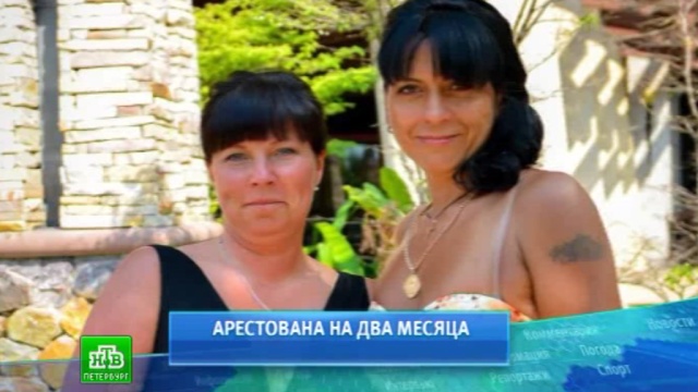 : ntv.ru