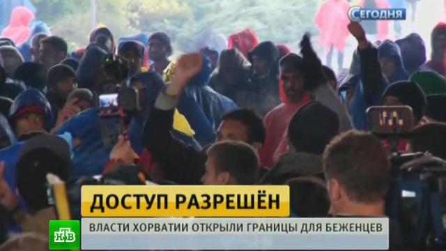  ������ �������� ������� ������� �������� 