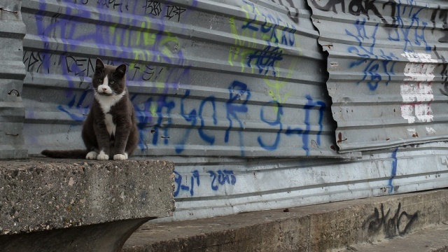  ��������� ���������� �������������� �������� �������� ����� 