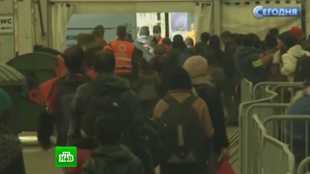  ������ ������ ������� 800 �������� 