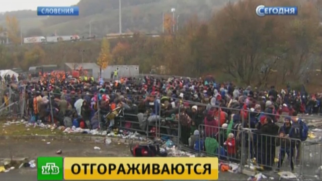  �������� ����������� �������� ������ ������� ���������� 