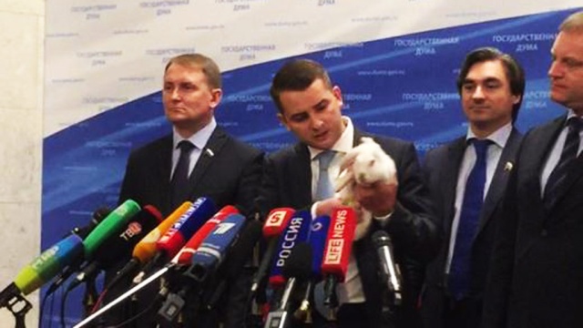  ����� �������� ������ �������� ���� ������� ��������� 