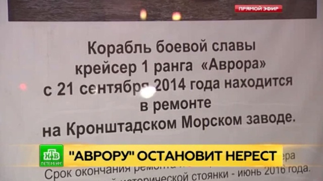 Фото: ntv.ru