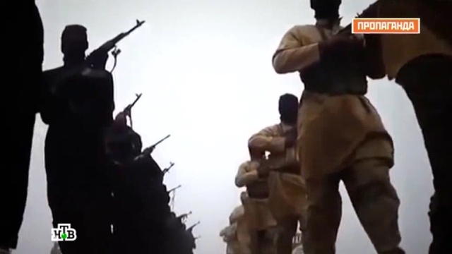  ���������� �������� ������� ����������� ������������ ��������� 