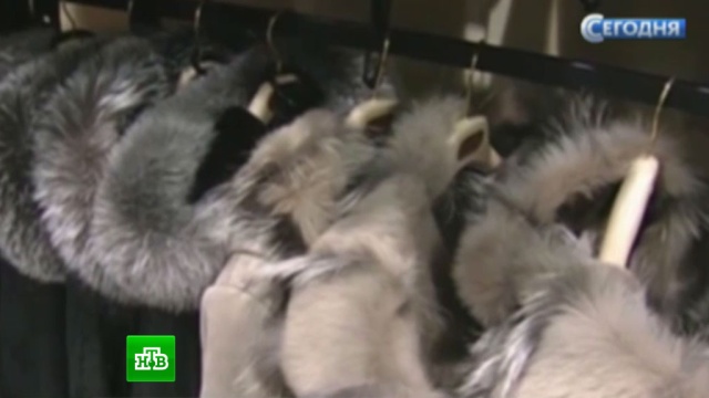  ������������� �������� ������������ ���� �������� ������ 