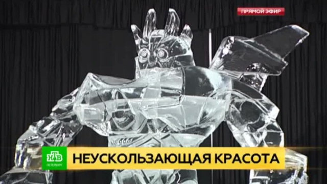 Фото: ntv.ru