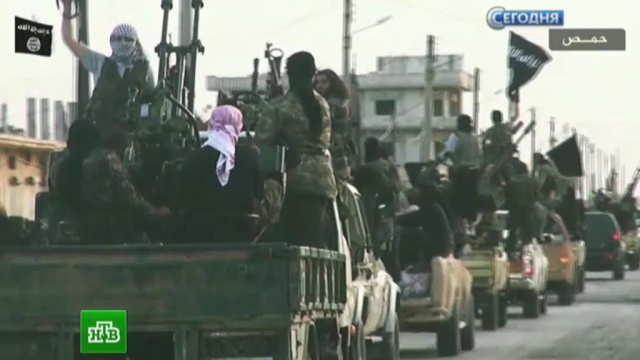  ���������� ���� �������� ������������ ���������� ���� 