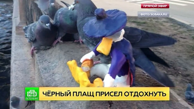 Фото: ntv.ru