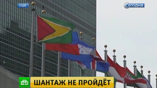Фото: ntv.ru