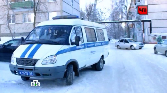 Фото: ntv.ru