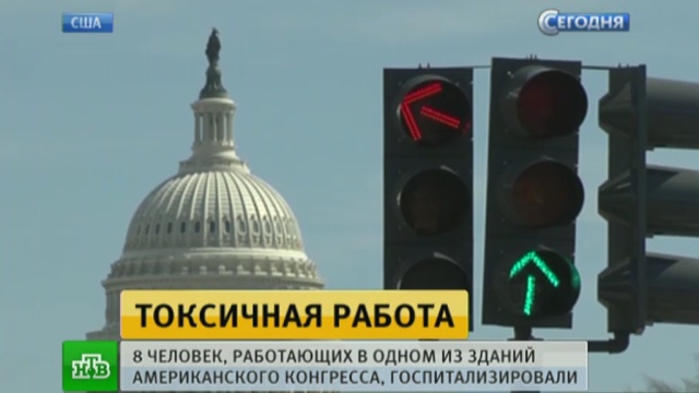 Фото: ntv.ru