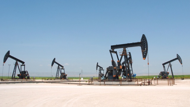  ������ ���� ������� �������� ������ ����� 