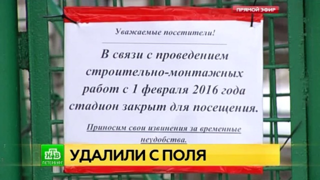 Фото: ntv.ru