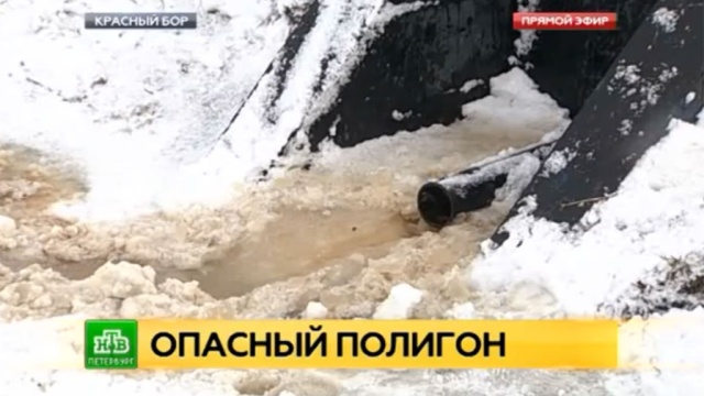 Фото: ntv.ru