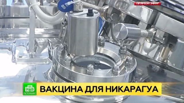 : ntv.ru