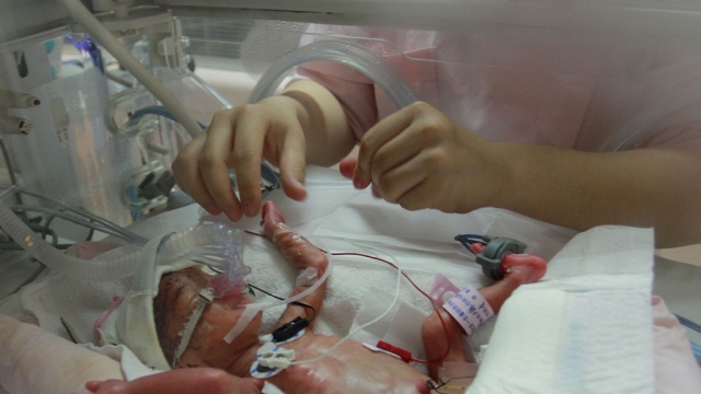  ����� ���������� ������� ������� ���� ��������� 