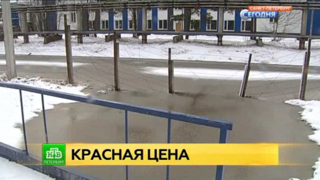 Фото: ntv.ru