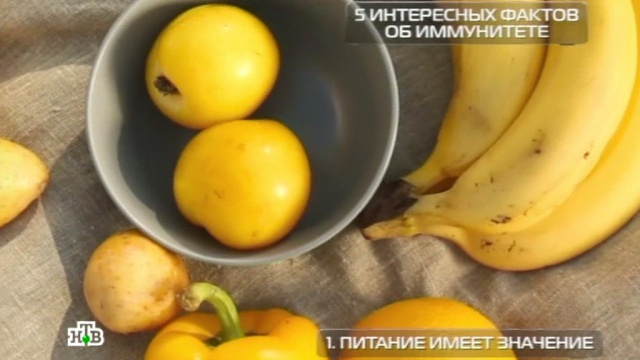  ������ ���������� 