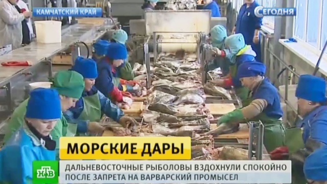  �������� �������� ������� ������������ ������������ ���� 