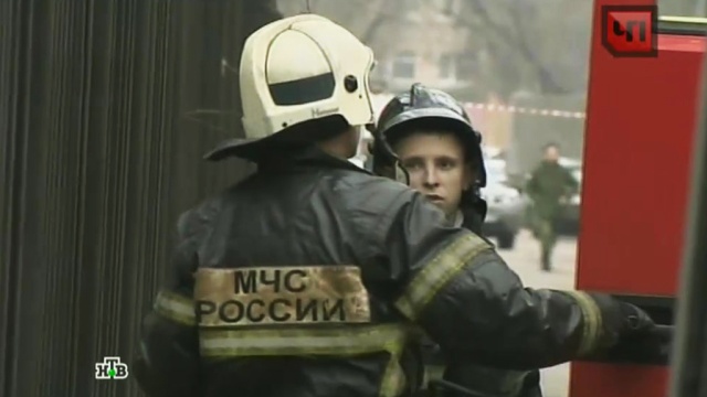 Фото: ntv.ru