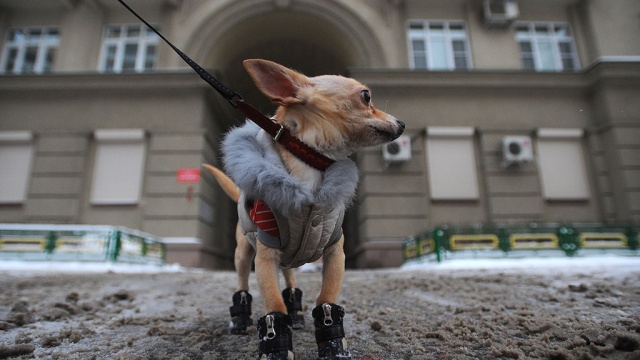  ����� ������� ����� ������� �������� 