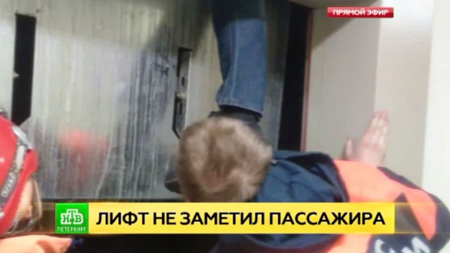 Фото: ntv.ru